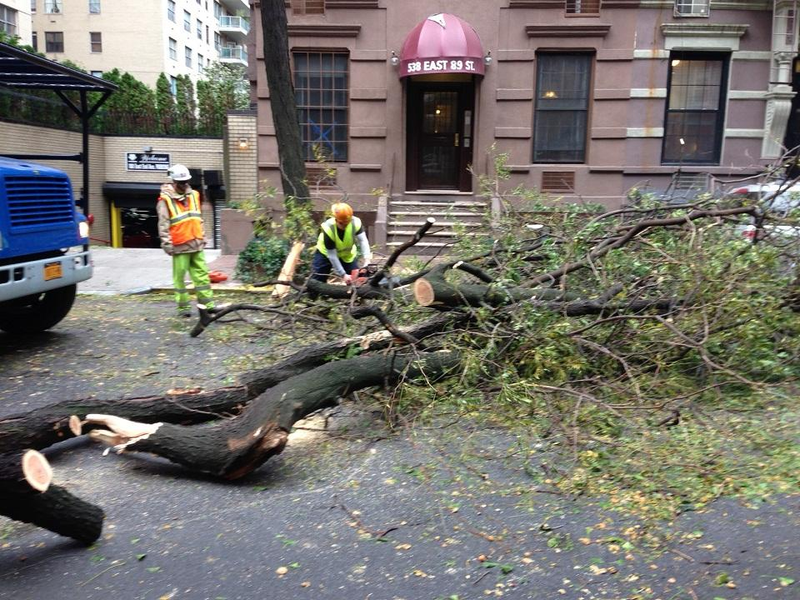 Illustration for article titled This Is What Hurricane Sandy Did To My Neighborhood